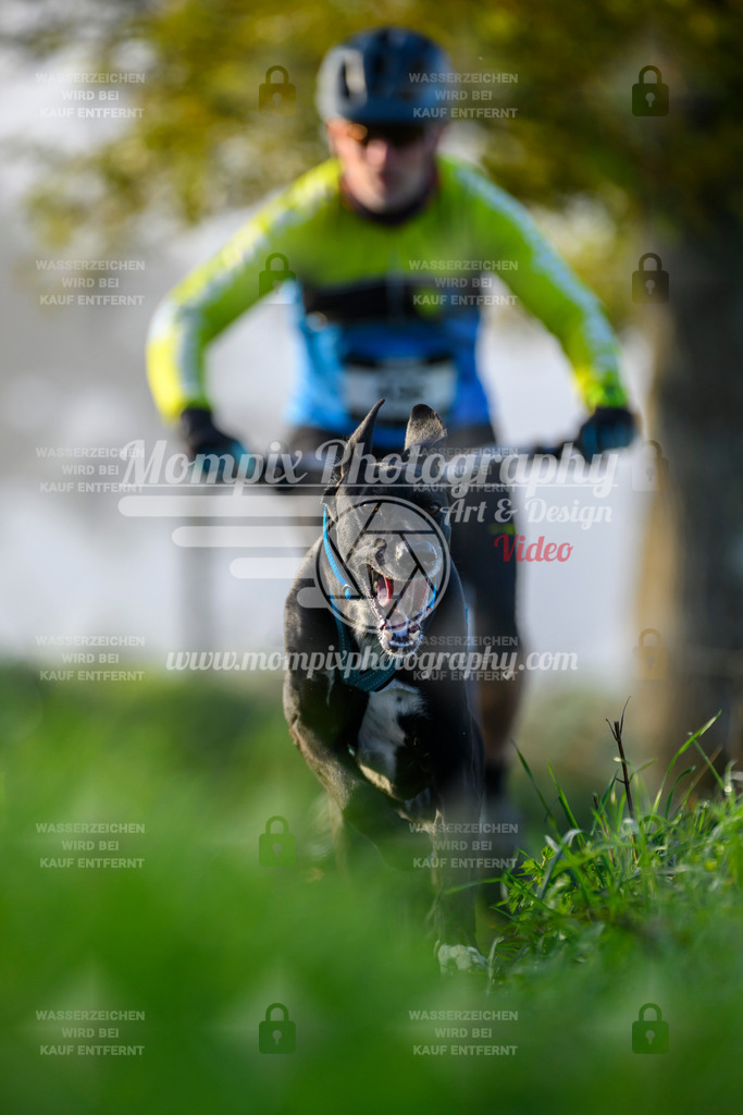 MompixPhotography_20TSB_E3_Bike-81 | PayLife