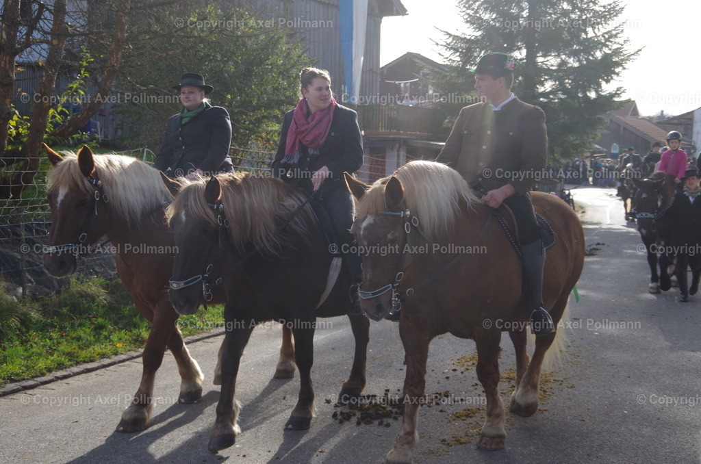 IMGP1258 | fotografiert von Axel PollmannLeonhardi Wallfahrt Benediktbeuern und Murnau, Fronleichnam, Fasching, Landschaft im Loisachtal und Benediktbeuern  - Realisiert mit Pictrs.com