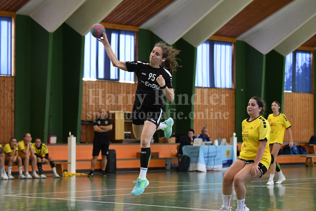 SSG Metten Handball Nachwuchs | SSG Metten weibliche A-Jugend im Spiel gegen die  SG Lions Handball aus Tirol - Realisiert mit Pictrs.com
