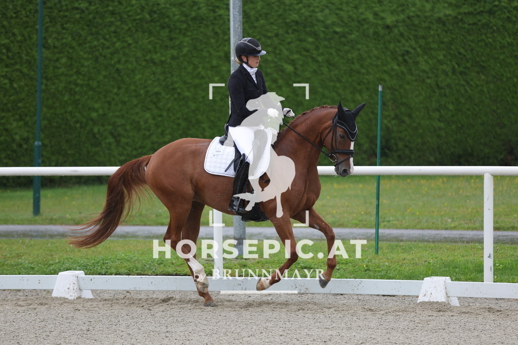 0P6A0163 | Willkommen bei Brunnmayr - Design & Fotografie – Ihrem Spezialisten für Reitturniere und Pferdeveranstaltungen in Oberösterreich, Salzburg und Bayern! Seit über 17 Jahren sind wir leidenschaftlich dabei.