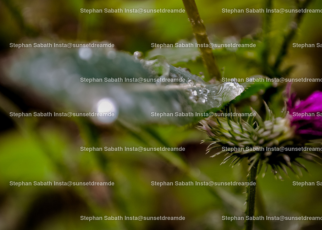 Tropfenrutsche | Sie werden ihren Augen nicht trauen