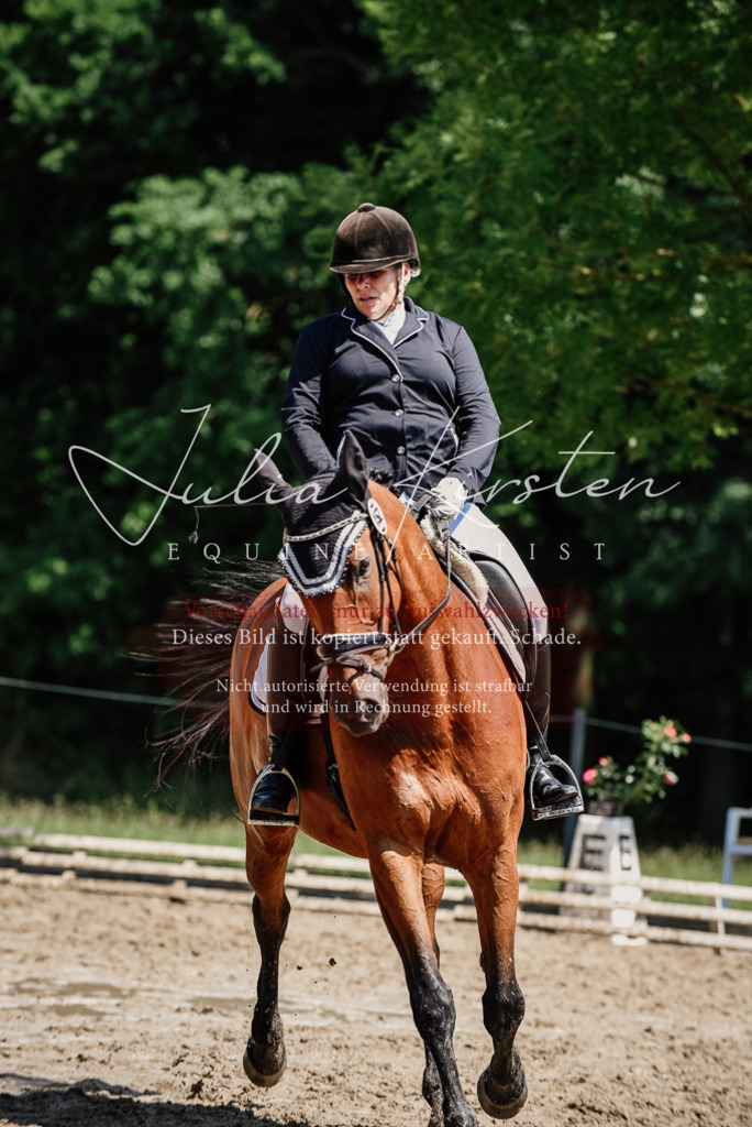 DSC_1990 | Pferde- und Turnierfotografie in Westsachsen. Pferdeportraits, Auftragszeichnungen und intuitive Kunst.
