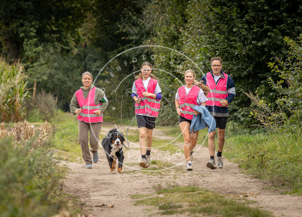 Pfotenfotografie_DV3A7538 | Hundefotografie, Tierfotograf, Pfotenfotografie, Fotoshooting Hund, Hunde Portrait, Hundesport, Hundeportraits, Heideshooting, Hunde, Sportfotograf, Hundefotograf, Turnierhundsport, THS,  - Realisiert mit Pictrs.com