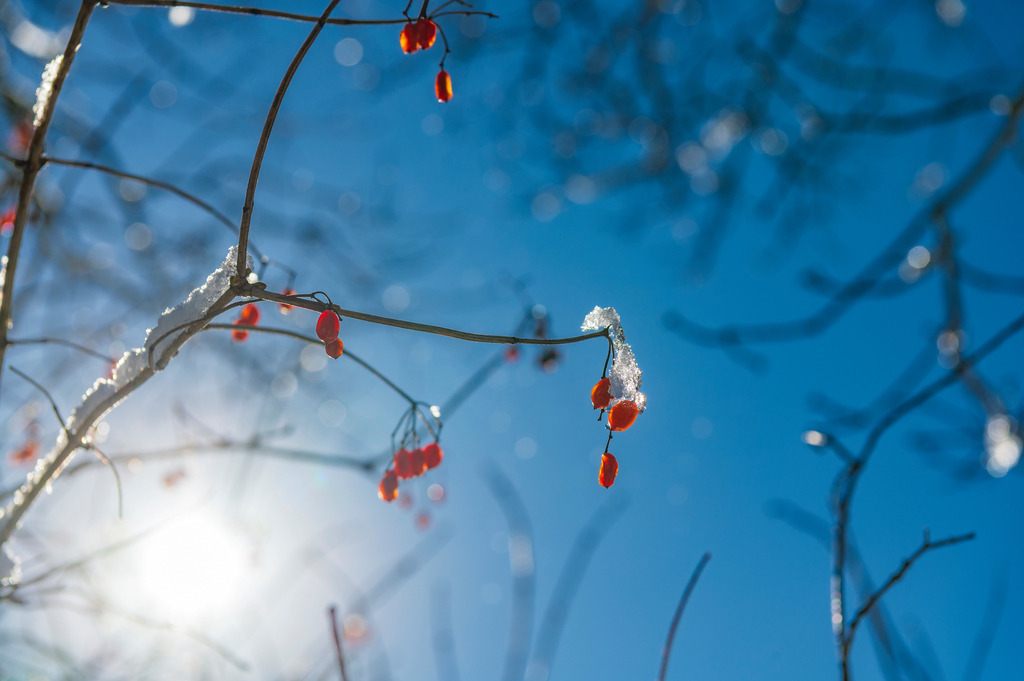 2023_03_11_MCP7400 | Hochwertig gedruckte Fotografien für die Wand, als Kalender und zum Verschenken. Hamburg & Norddeutschland und überall wo ich mit der Kamera unterwegs war.