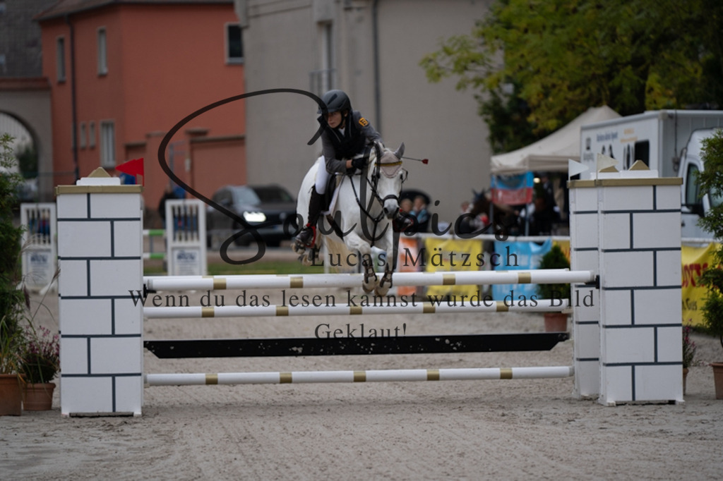 A7V00245 | Turnier/Reitfotograf