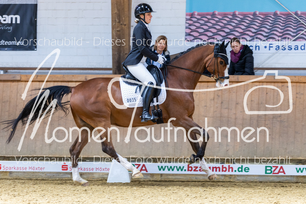 Sth-LPO25-DrR-L-209 | MomenTaufnahmen Pferdesportfotos