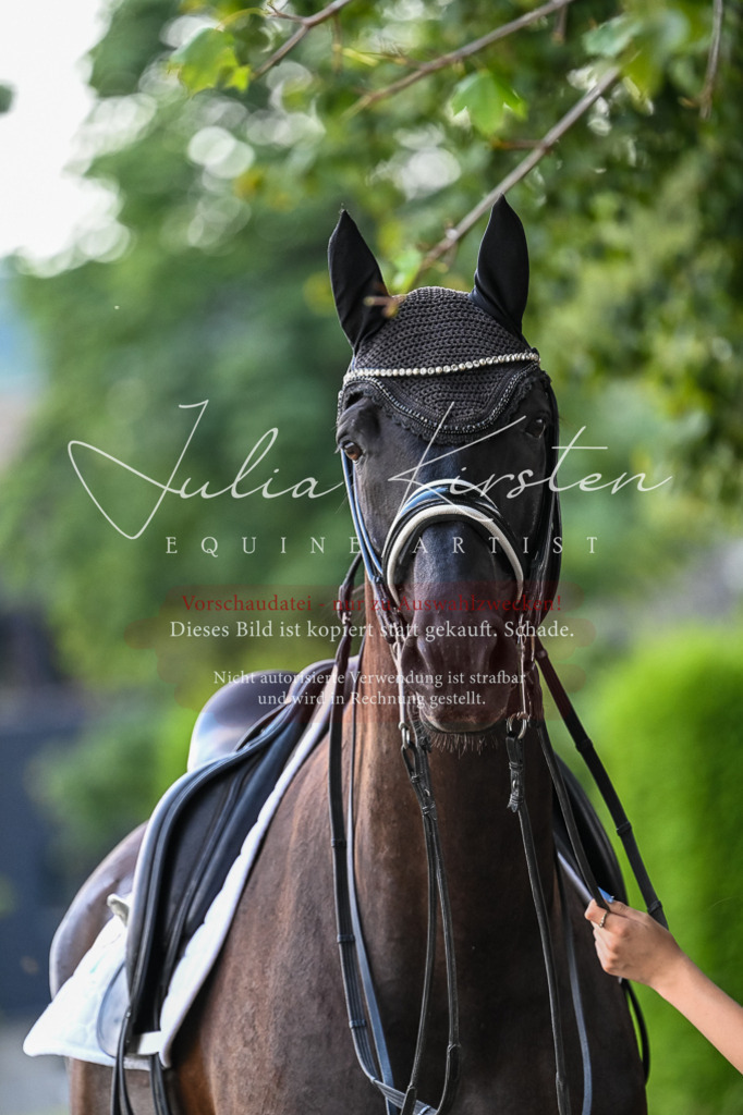 DSC_2780 | Pferde- und Turnierfotografie in Westsachsen. Pferdeportraits, Auftragszeichnungen und intuitive Kunst.