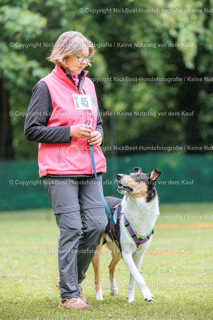 RO-Blumenthal-2026-Nickbest-Hundefotografie-0392 | Dein Hund! Dein Moment! Deine Erinnerungen! Hundefotografie in Bremen Blumenthal. Ich fange die besonderen Momente deines Vierbeiners ein – ob Indoor mit Blitzanlage oder in der freien Natur. Sicher dir dein Moment und dein Termin für eure Erinnerungen.