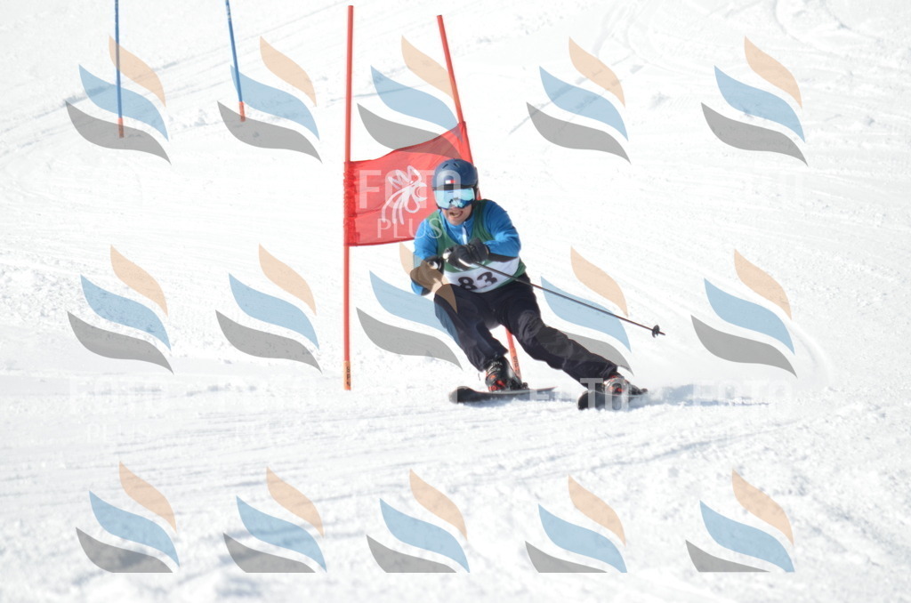 D9028 | holidayphoto