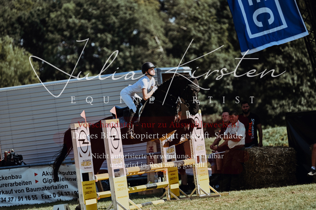 DSC_6668 | Pferde- und Turnierfotografie in Westsachsen. Pferdeportraits, Auftragszeichnungen und intuitive Kunst.