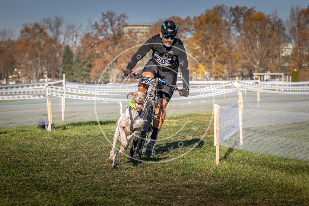 CaniXpix_0L8A4487 | Hundefotografie, Tierfotograf, Pfotenfotografie, Fotoshooting Hund, Hunde Portrait, Hundesport, Hundeportraits, Heideshooting, Hunde, Sportfotograf, Hundefotograf, Turnierhundsport, THS,  - Realisiert mit Pictrs.com