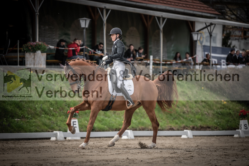 DSC_3136 | equestrian-live-com