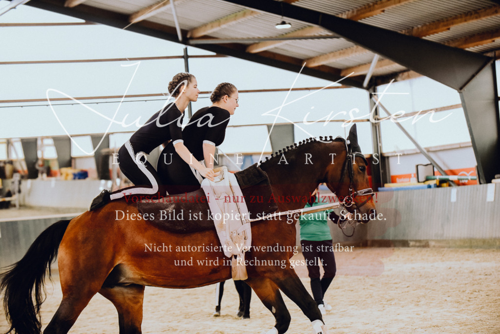 DSC_6911 | Pferde- und Turnierfotografie in Westsachsen. Pferdeportraits, Auftragszeichnungen und intuitive Kunst.