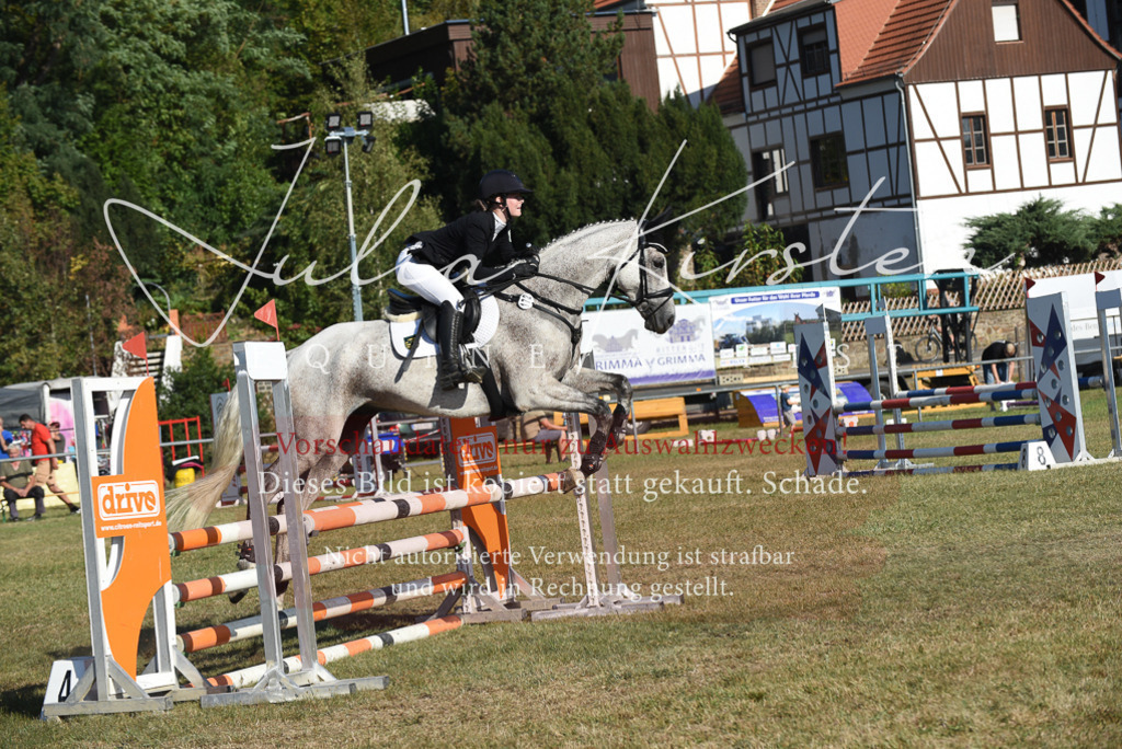 DSC_5271 | Pferde- und Turnierfotografie in Westsachsen. Pferdeportraits, Auftragszeichnungen und intuitive Kunst.