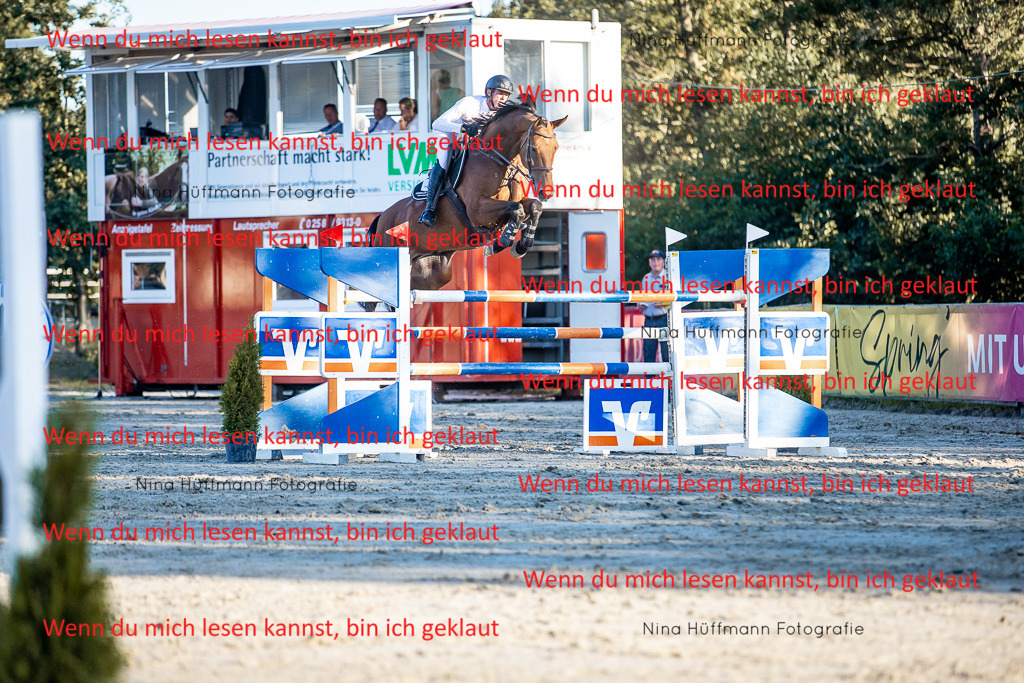 BK1A8542 | Turnierbilder Turnierfotos Nina Hüffmann Turnierfotografie Pferdefotografie Tierzeichnung Haustierzeichnung Pferdezeichnung Hundezeichnung Videograf  - Realisiert mit Pictrs.com