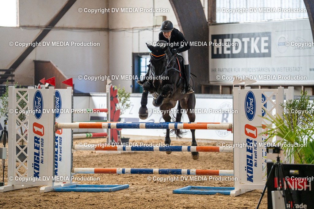 Kranichstein Tag 2-357 | dv-media-shop - Realisiert mit Pictrs.com