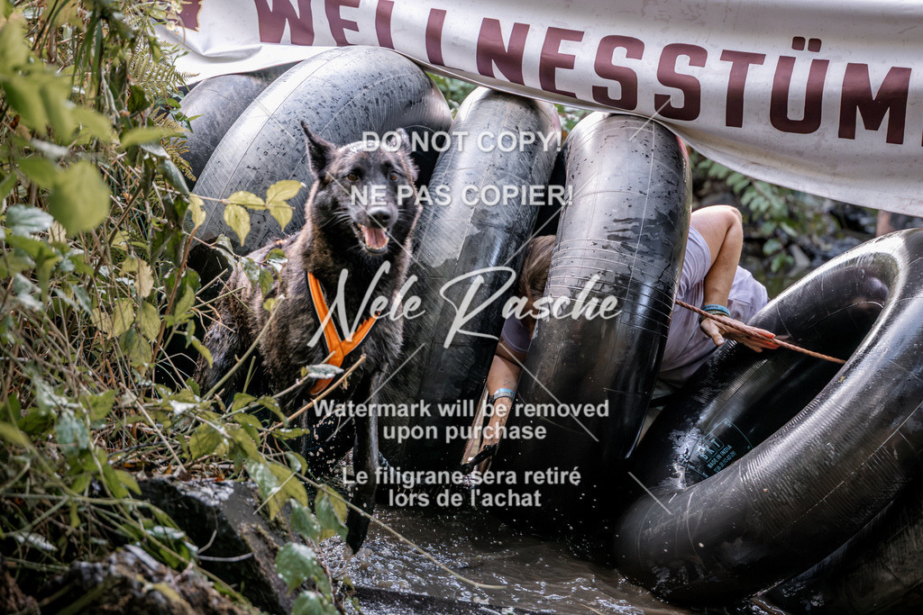 nelerasche_Hunsrück2026_Sa1400-1500_120 | nelerasche