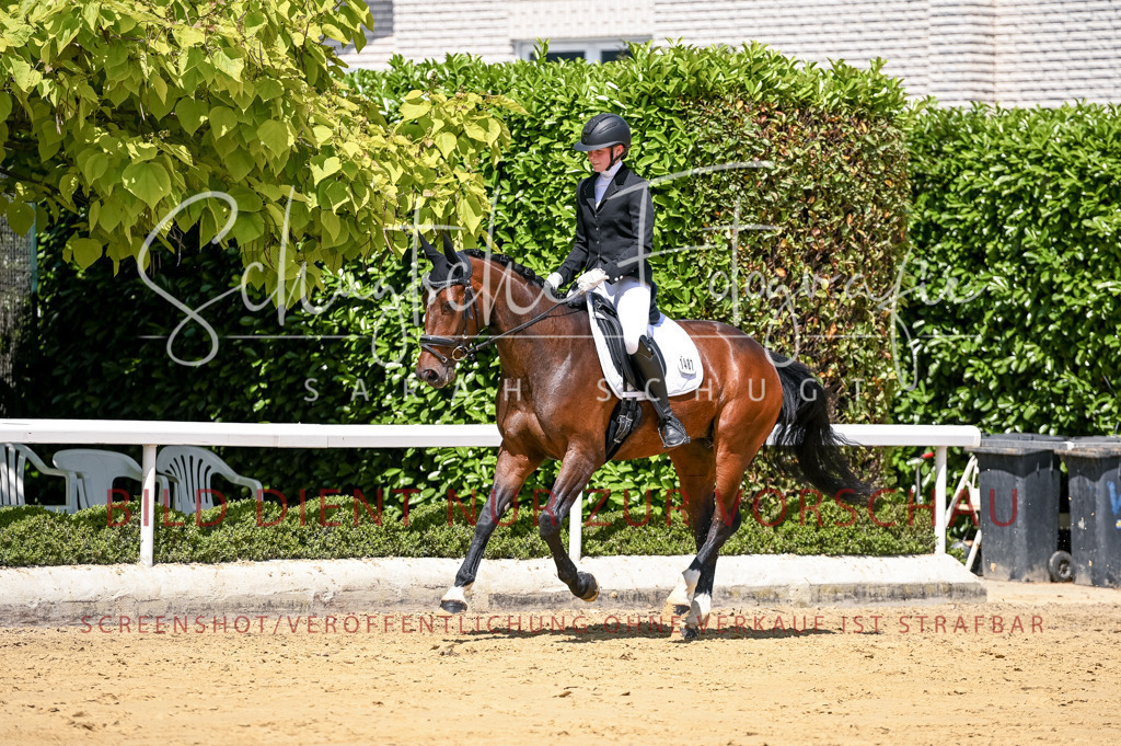 Schugtsche-Aluta25-49.Dressurpferdeprf.A-205 | Schugtsche Fotografie - Realisiert mit Pictrs.com