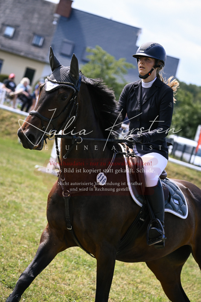 DSC_0533 | Pferde- und Turnierfotografie in Westsachsen. Pferdeportraits, Auftragszeichnungen und intuitive Kunst.