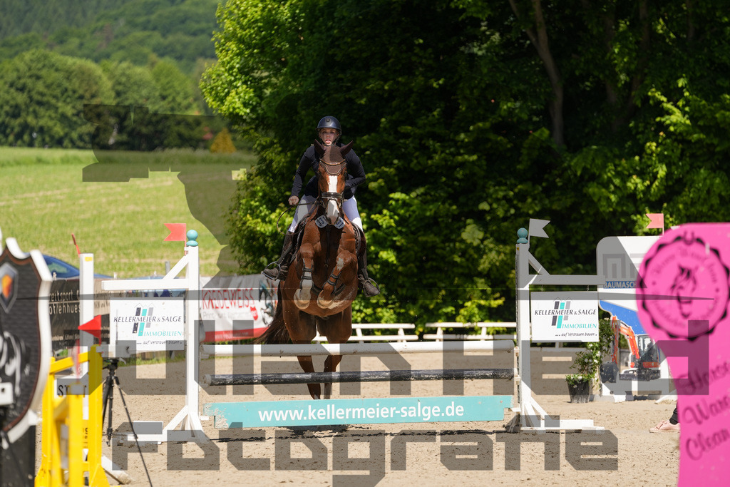 DSC02271 | Julian Held Fotografie - Realisiert mit Pictrs.com