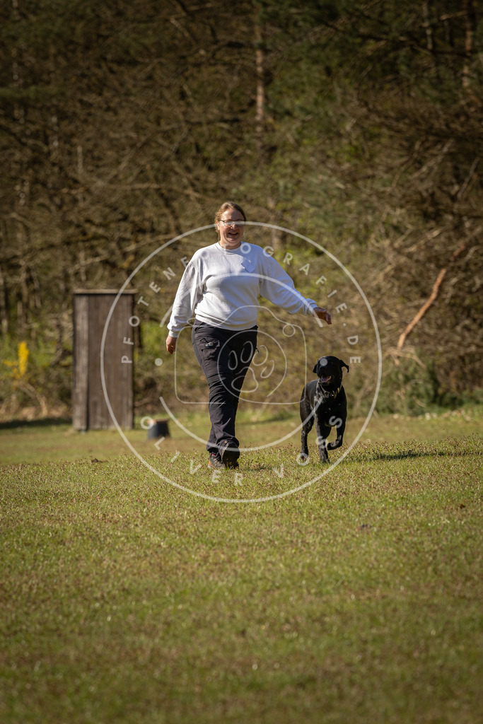 Pfotenfotografie_DV3A0232 | Hundefotografie, Tierfotograf, Pfotenfotografie, Fotoshooting Hund, Hunde Portrait, Hundesport, Hundeportraits, Heideshooting, Hunde, Sportfotograf, Hundefotograf, Turnierhundsport, THS,  - Realisiert mit Pictrs.com