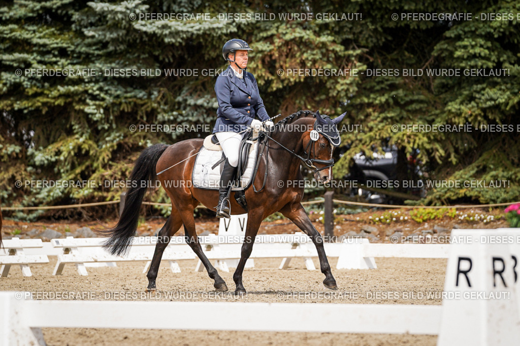 DSC04110 | Pferdegrafie