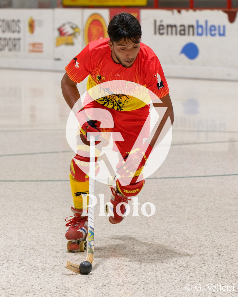 DSC_2204 | Velletri Photo