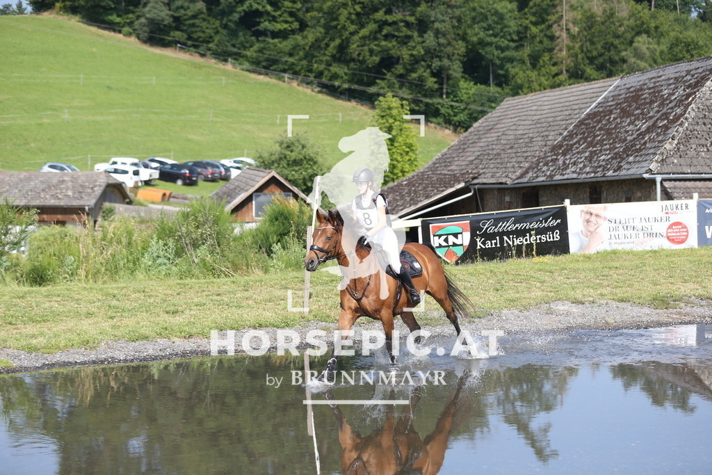 DL2Q1427 | Willkommen bei Brunnmayr - Design & Fotografie – Ihrem Spezialisten für Reitturniere und Pferdeveranstaltungen in Oberösterreich, Salzburg und Bayern! Seit über 17 Jahren sind wir leidenschaftlich dabei.