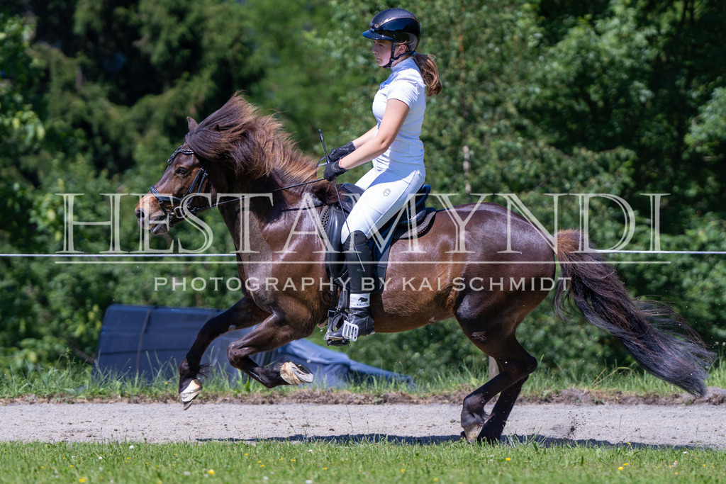 KAI09726 | Ihr sucht einen Fotografen für eure nächste OSI? Ich begleite auch euer Turnier für Islandpferde fotografisch.  - Realisiert mit Pictrs.com