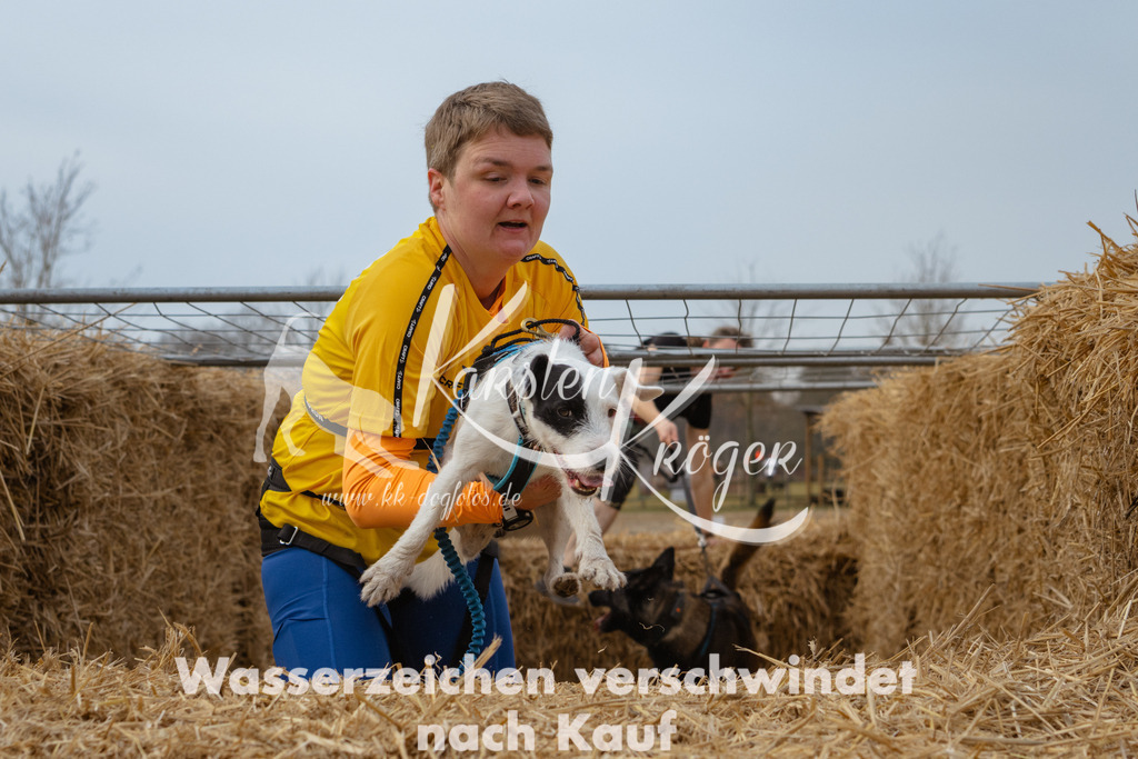 0917_ZZ97754 | kk-dogfotos