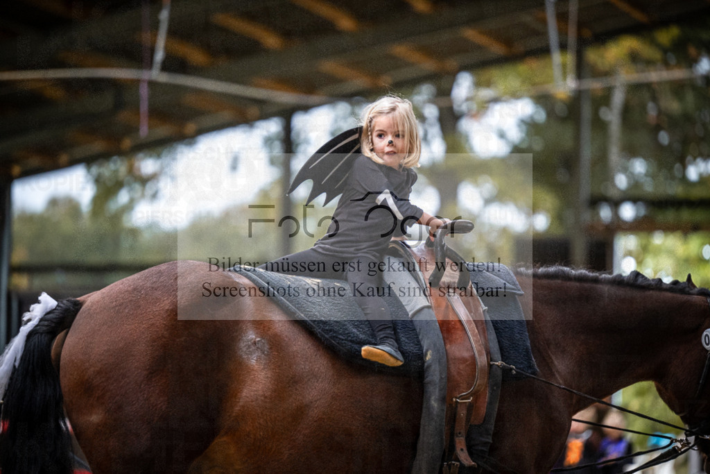 DOS_0148 | Entdecke hochwertige Reitturnierfotos von Foto Oger. Professionell, emotional und authentisch – jetzt Lieblingsmomente im Shop bestellen.Deutschlandweite Turnierfotografie. - Realisiert mit Pictrs.com