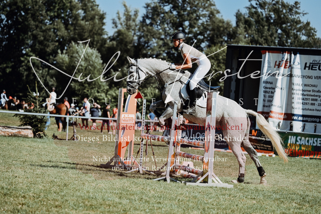 DSC_6870 | Pferde- und Turnierfotografie in Westsachsen. Pferdeportraits, Auftragszeichnungen und intuitive Kunst.
