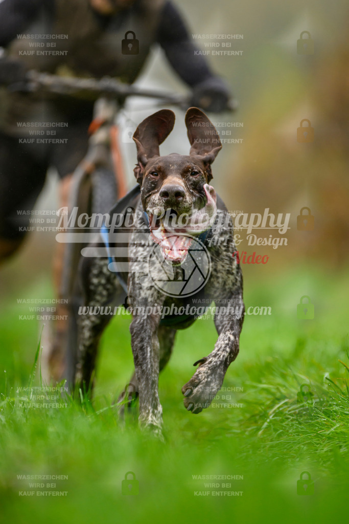 MompixPhotography_20TSB_E8_DS1-12 | PayLife
