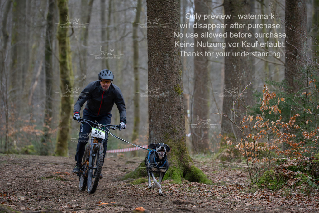 Bike_So-61 | stephaniefillaphotographie - Realisiert mit Pictrs.com