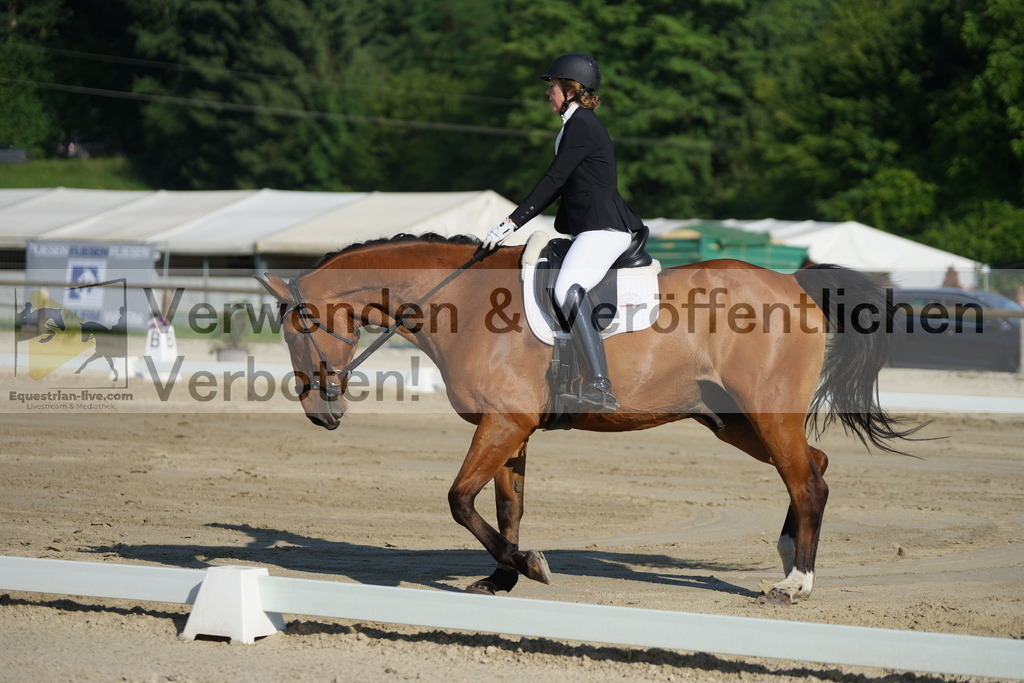 DSC04071 | equestrian-live-com