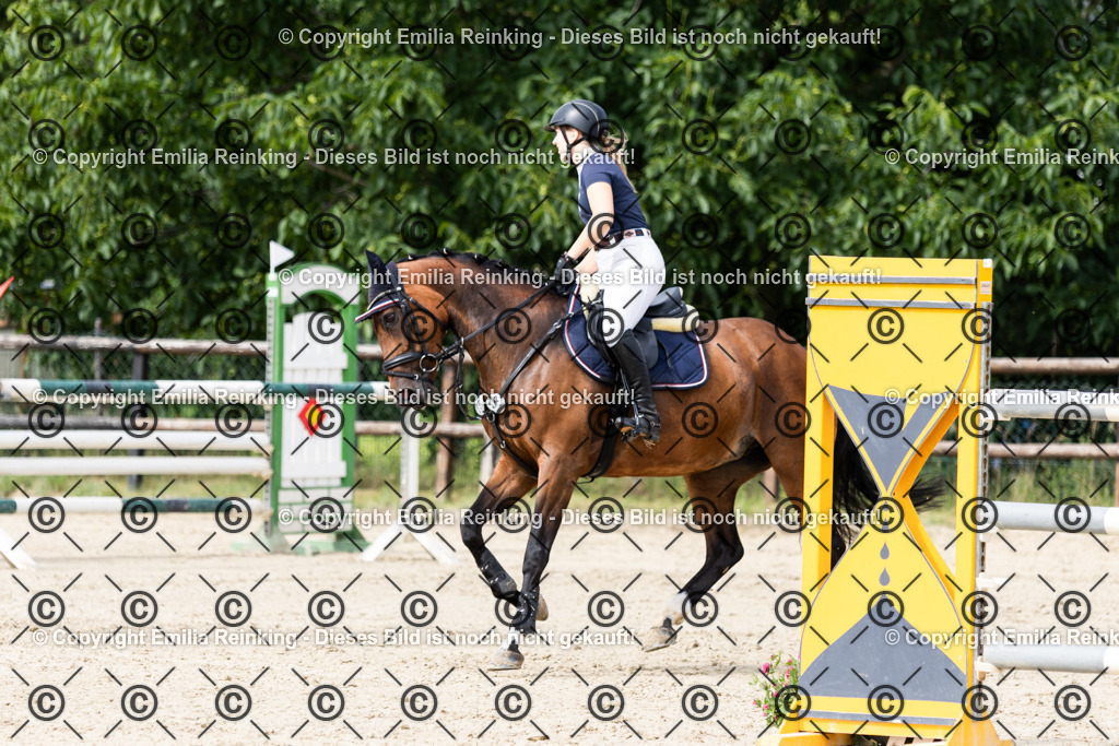 CL5A8446 | Emilia Reinking Fotografie - Realisiert mit Pictrs.com