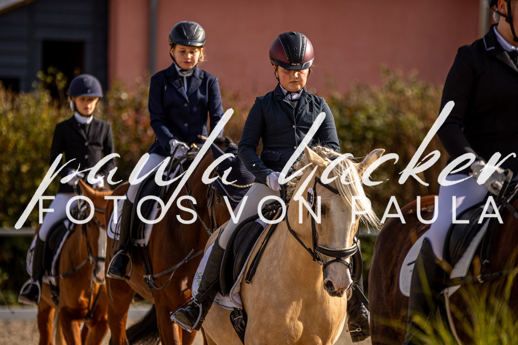 IMG_3453 | Erleben Sie dynamische Sport- und emotionale Tierfotografie in Süddeutschland mit Fotos von Paula. Spezialisiert auf Pferde- und Hundefotografie sowie Sportevents. Kontaktieren Sie mich für einzigartige und ausdrucksstarke Bilder Ihrer besonderen Momente.