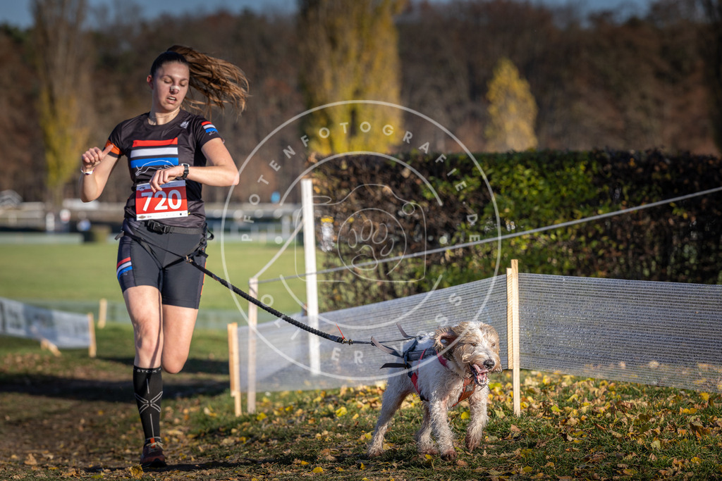 CaniXpix_DV3A1855 | Hundefotografie, Tierfotograf, Pfotenfotografie, Fotoshooting Hund, Hunde Portrait, Hundesport, Hundeportraits, Heideshooting, Hunde, Sportfotograf, Hundefotograf, Turnierhundsport, THS,  - Realisiert mit Pictrs.com