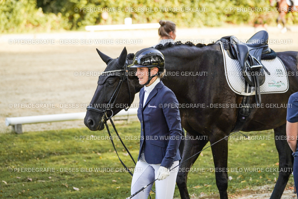 DSC05188 | Pferdegrafie