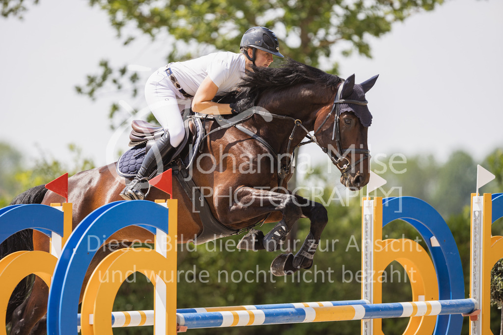 230616_Lemwerder_Springpf-L2-600 | Deine schönsten Turniermomente als professionelle Fotos! Entdecke hochwertige Pferdesport-Fotografie im Online-Shop. Jetzt Fotos finden & bestellen!