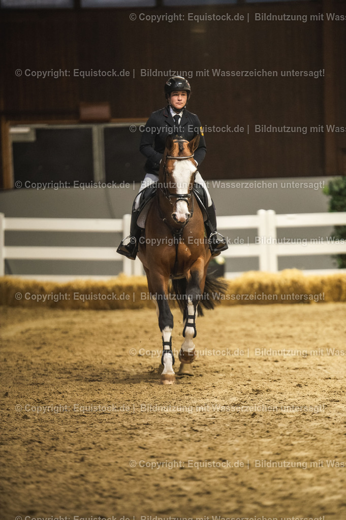 20240302_Hengstvorstellung_Marbach_TOMsPiC_0487 | equistock