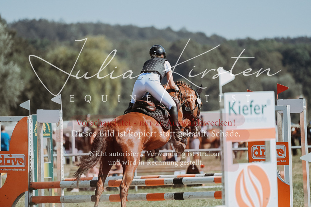 DSC_9433 | Pferde- und Turnierfotografie in Westsachsen. Pferdeportraits, Auftragszeichnungen und intuitive Kunst.