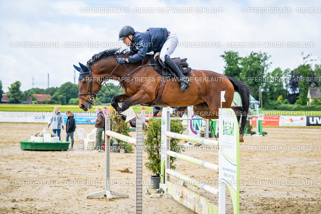 DSC04017 | Pferdegrafie