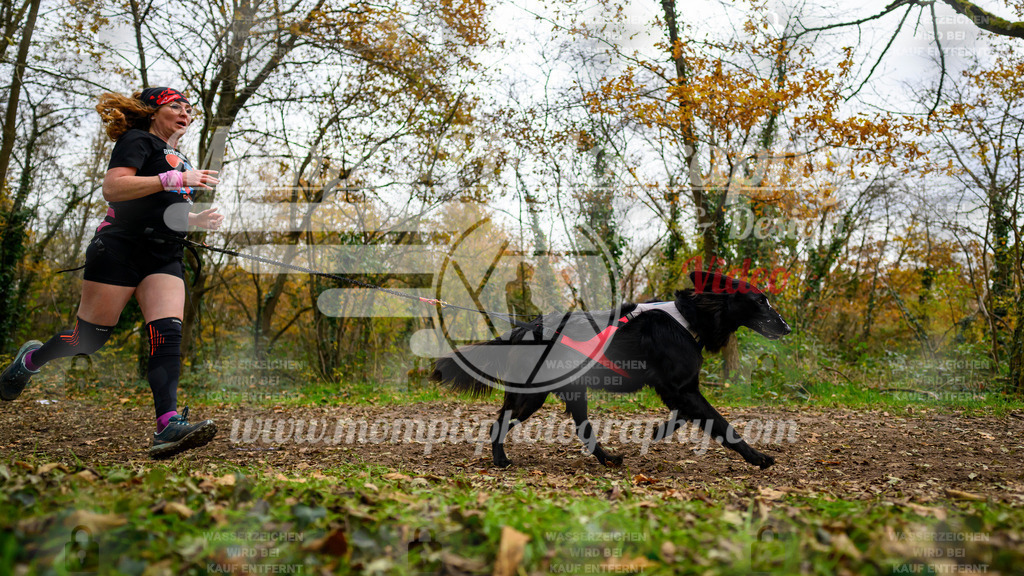 MompixPhotography_Bischwiller24_DI_CoursedeRelais-84 | PayLife