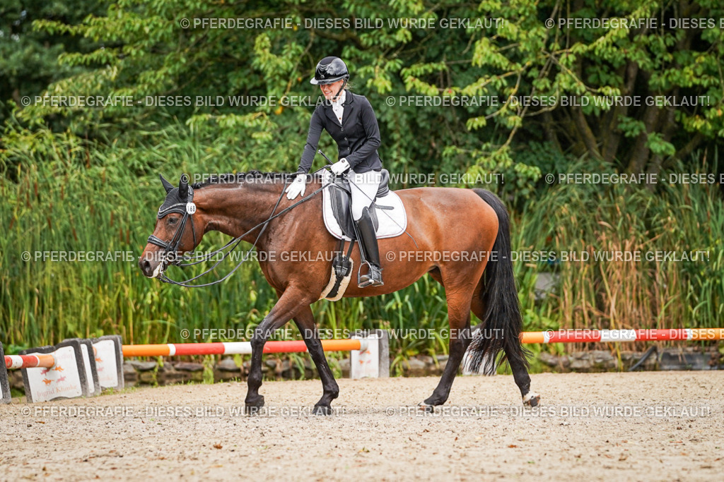 DSC04586 | Pferdegrafie