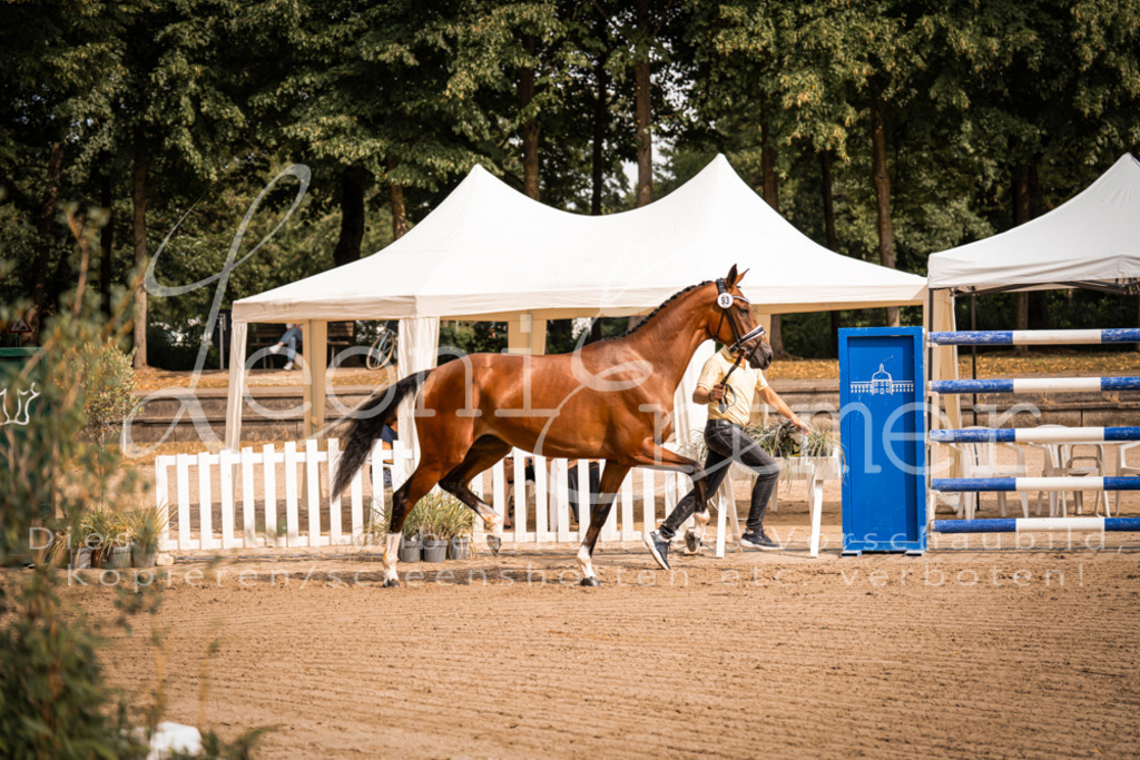 FrER00054 | Leoni Ertmer Photography - Realisiert mit Pictrs.com