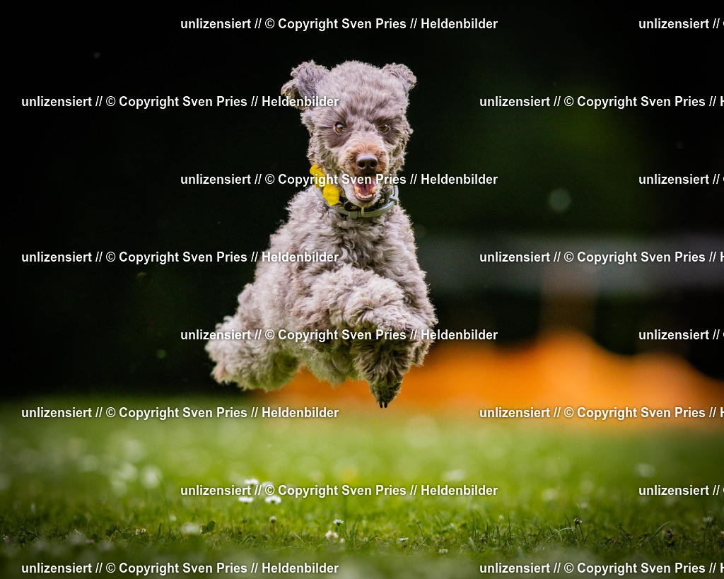 Sven Pries | 2025-05-29 - Pudelrennen KA-Durlach - Realisiert mit Pictrs.com