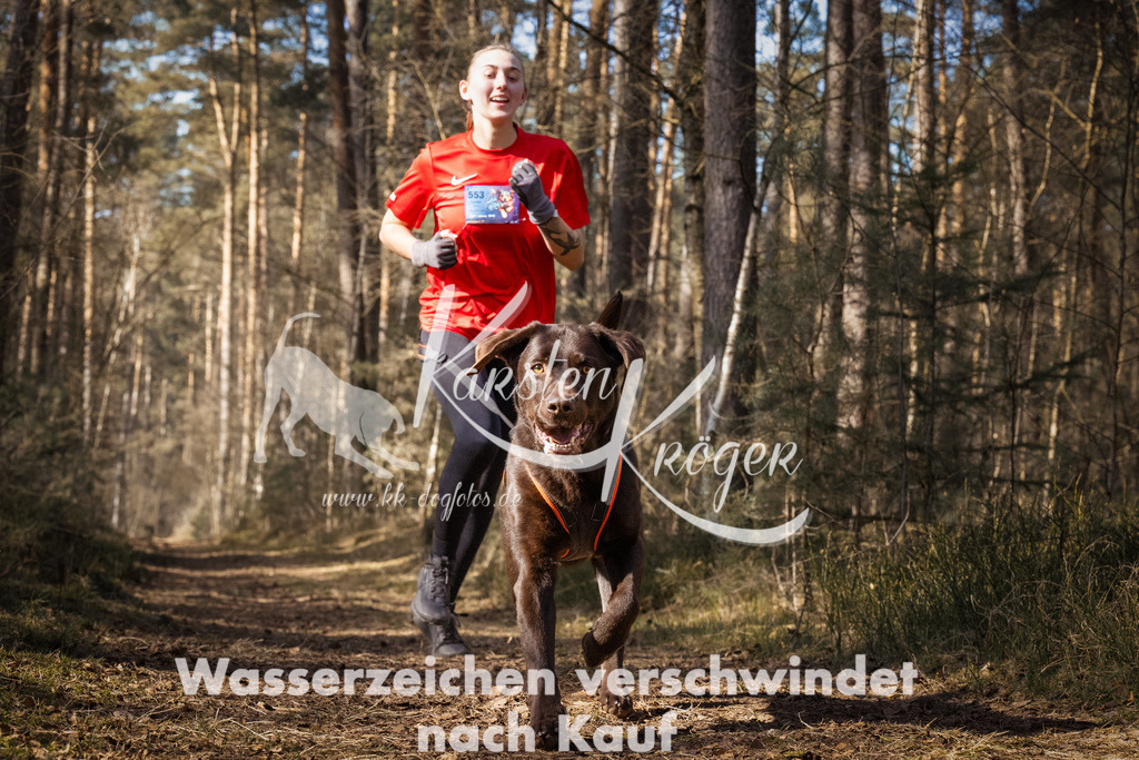 1240_ZZ94076-Bearbeitet | kk-dogfotos