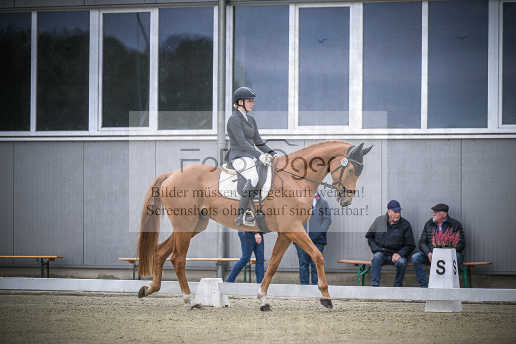 DOS_0014 | Entdecke hochwertige Reitturnierfotos von Foto Oger. Professionell, emotional und authentisch – jetzt Lieblingsmomente im Shop bestellen.Deutschlandweite Turnierfotografie. - Realisiert mit Pictrs.com