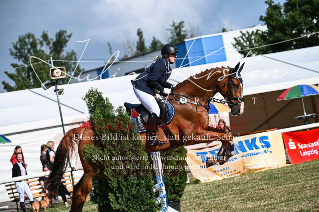 DSC_7746 | Pferde- und Turnierfotografie in Westsachsen. Pferdeportraits, Auftragszeichnungen und intuitive Kunst.